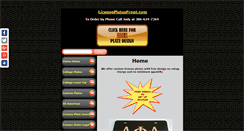 Desktop Screenshot of licenseplatesfront.com